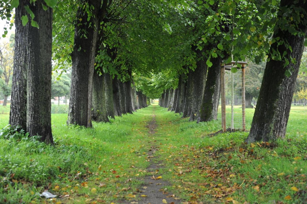 Ostsee-Ferienhaus Im Gruenen Klockenhagen Exteriér fotografie